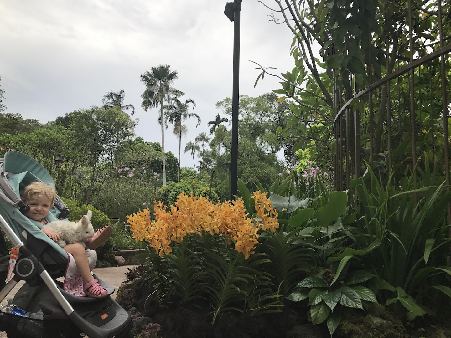 Mit dem Kinderwagen durch den botanischen Garten Singapur
