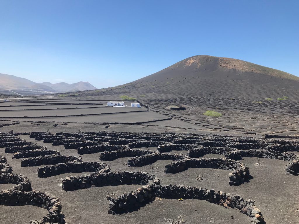 Vulkanlandschaft und Windschutz für Reben am Timanfaya auf Lanzarote